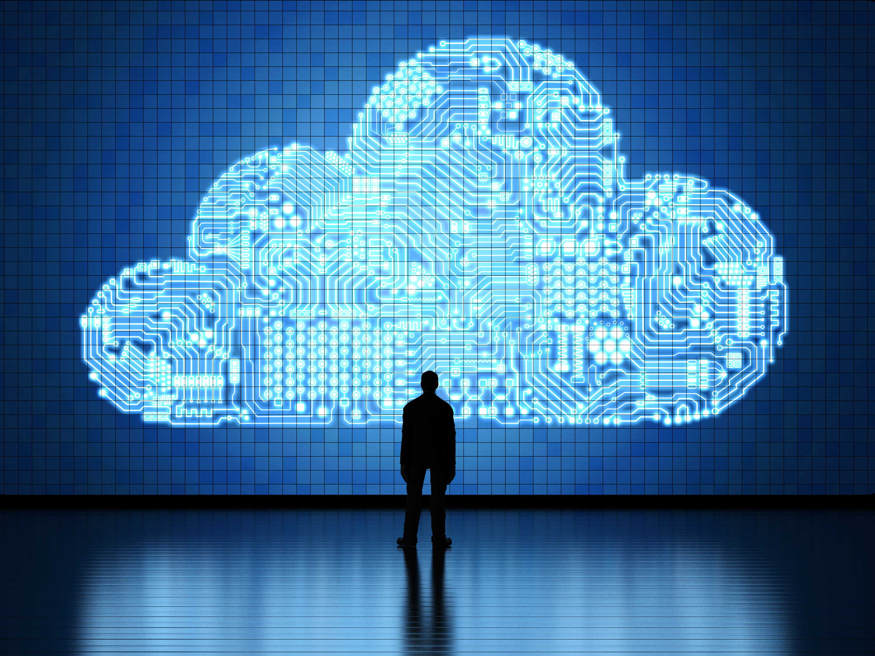 Disadvantages of Cloud Computing